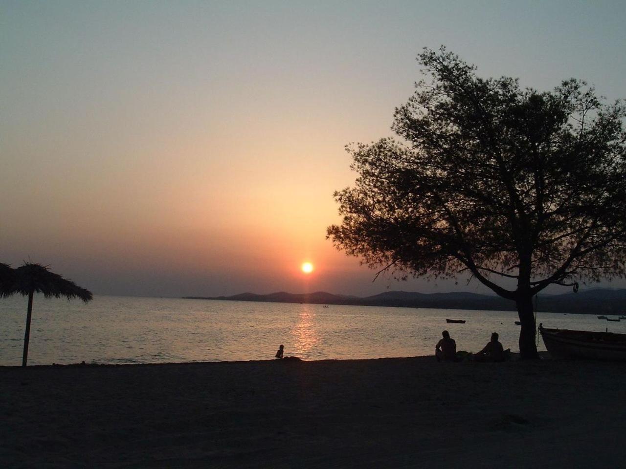 Finikas Garden Beach Resort Nikiti Eksteriør billede