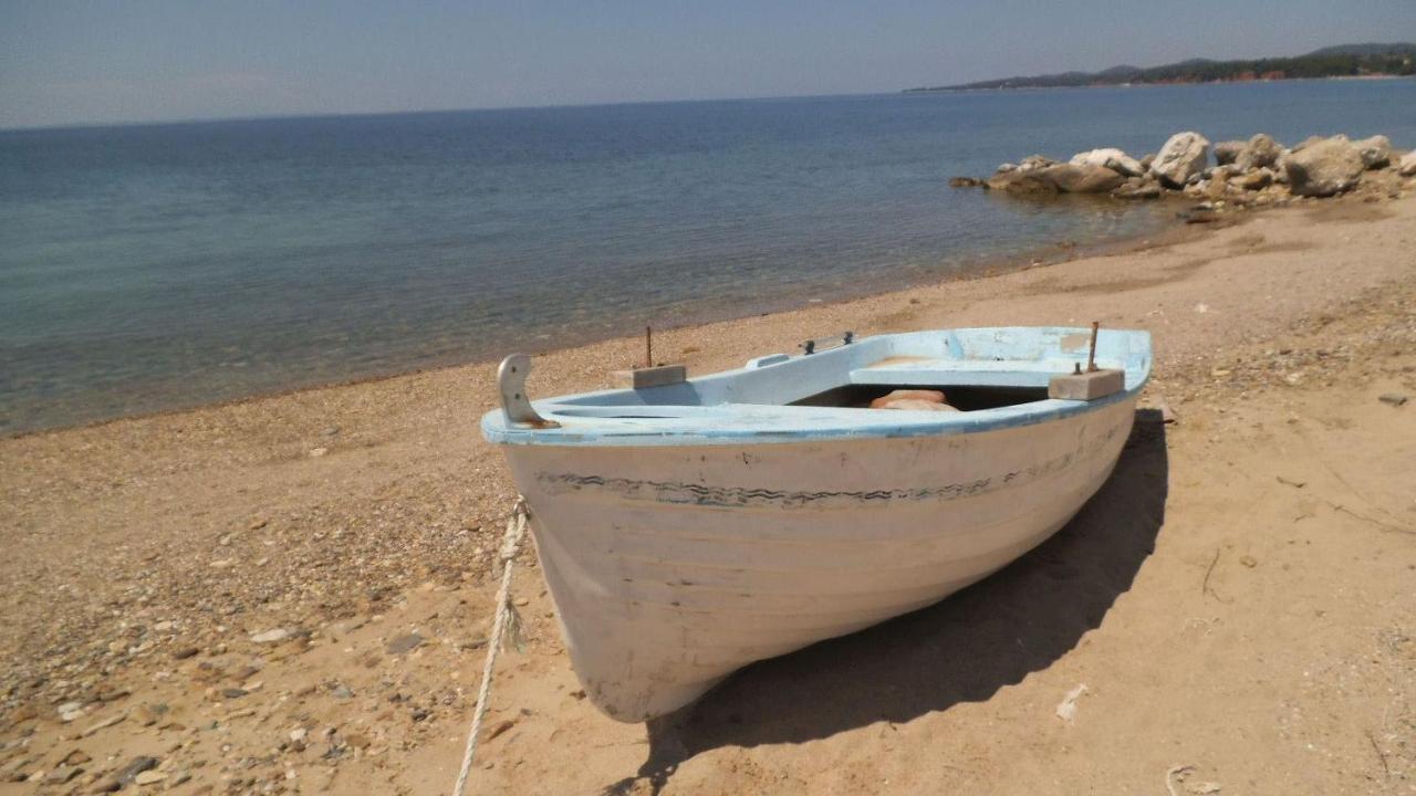 Finikas Garden Beach Resort Nikiti Eksteriør billede